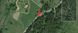 Träd över vägen skapar problem i trafiken på väg 290