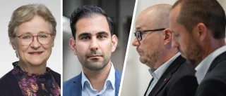 Styret S-V-MP är missvisande – vi låter oss inte tystas
