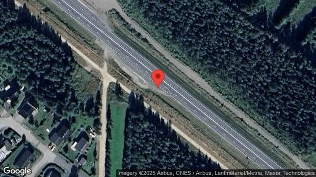 Renar på vägen kan skapa fara på E4