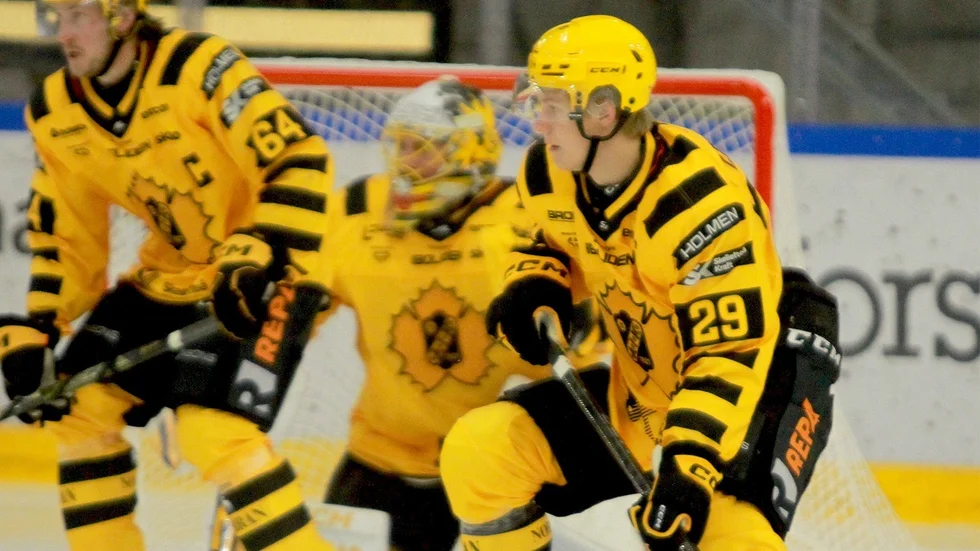 Piteå Hockey lånar Wilmer Lindfors av Skellefteå AIK ikväll.