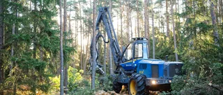 Tre tips på vägen för dig som distansäger skog