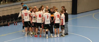 EHF är redo för allsvenskan – ställs mot flera klassiska lag