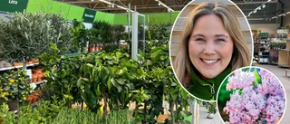 Therese tar över trädgårdsbutiken: "Passar mig perfekt"