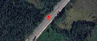 Varning för renar på vägen på väg 364