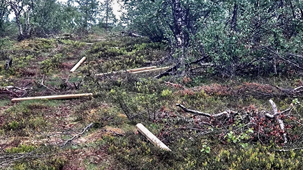 Plockepinn återstår av renstängslet. Vid två olika tillfällen har Könkämä sameby drabbats av skadegörelse när renstängsel saboterats.