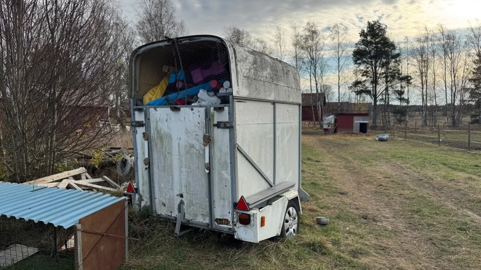 "Flera av dina djur har varit utsatta för ett lidande" skriver Länsstyrelsen i Uppsala län i sin bedömning.