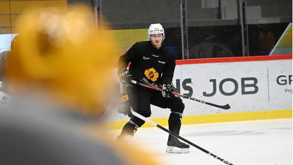”Det är alltid kul att vara tillbaka”, säger Ludvig Warg, som har Skellefteå AIK som moderklubb.