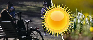Då kommer pangvädret till Uppsala: "Absolut vårvärme"