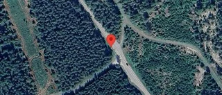Nedfallna träd påverkar trafiken på väg 76
