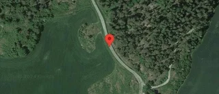 Varnar för älg på vägen på väg 897
