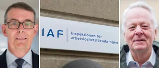 Utredaren om kritiken: "Har inte kunnat gå på djupet"