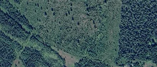 Ägarbyte för skogen på Utterliden 109 i Glommersträsk