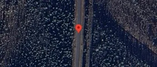 Problem i trafiken efter nedfallna träd på väg 515