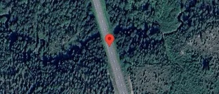 Träd över vägen skapar problem i trafiken på väg 870