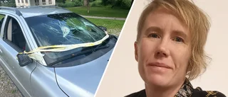 Problemet löst – med vraket vid slottet 