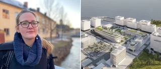 Sökes: Kärnkraftskunnig konsult