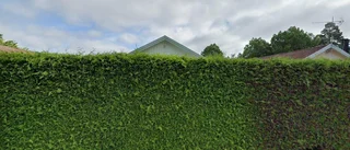 Huset på Vråkgatan 8 i Borensberg har bytt ägare två gånger sedan 2022