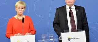 Sverige kan inte göra allt