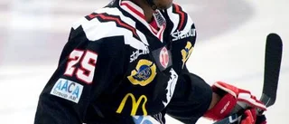 Hästen-bekant skrev på för Rögle