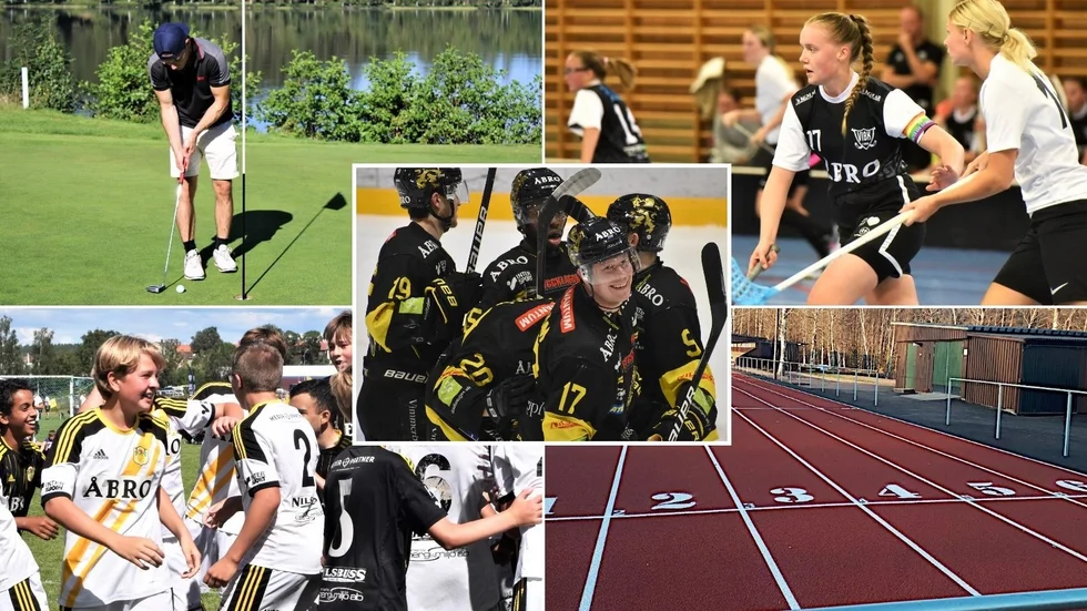 Några av de största föreningarna i Vimmerby kommun har gett sin syn på vilka de viktigaste frågorna inför valet är ur deras perspektiv,