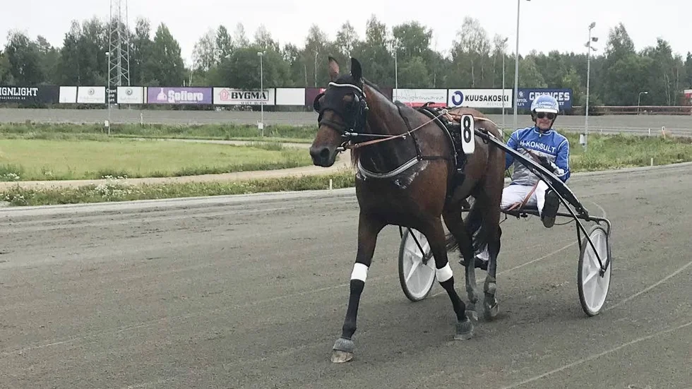 Magnifik Brodde och Samu Sundqvist vann den första avdelningen under V65-spelet på Skellefteåtravet.