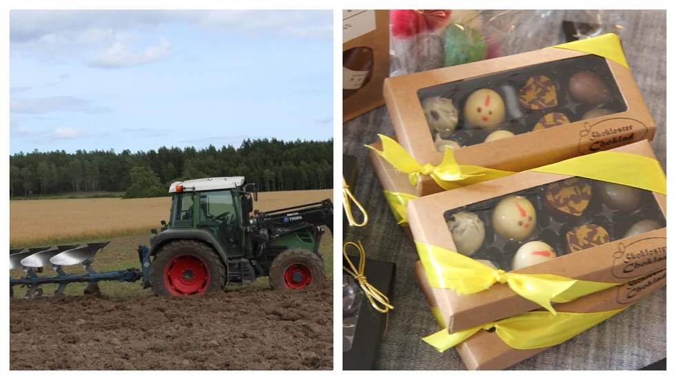 Lokalproducenter av choklad, konst, stickat, hamburgare med mera medverkar i bygdegården. På åkern intill går det att se en tävling i plöjning som arrangeras av sällskapet Plöyboys.