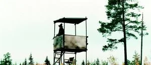 Se upp för ovana älgjägare i skogen