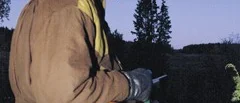 På pass i gryningen