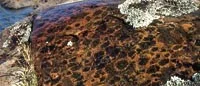 Geologisk odyssé i Tjustbygden