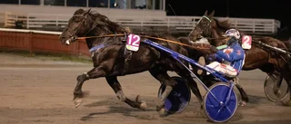 Skellefteås V64-omgång kryddas med några jackpottmiljoner – hemmahästar i favoritroll: "Aktionen flöt perfekt senast"