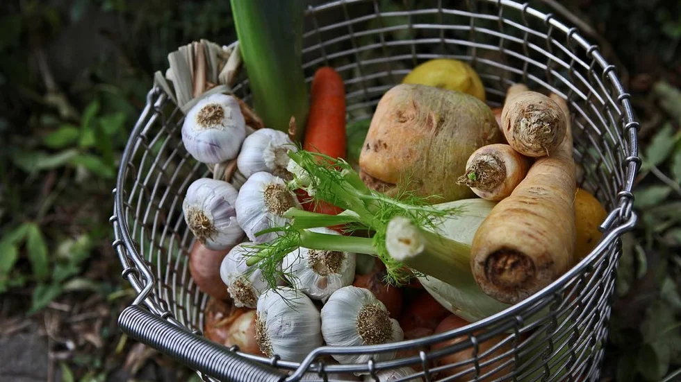 Grönsaker. Vegetariska dagen, 1 februari, är ett sätt att uppmärksamma påverkan på klimatet.