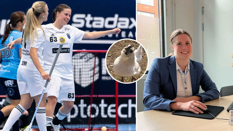 Sara Attermo har många järn i elden. På bilden syns hönan Matilda döpt efter lagkamraten Matilda Östlund Visén. 