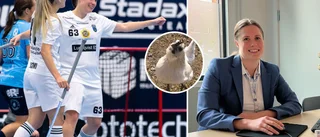 "Hönsmamman" redo för krisen – och för Sirius säsong