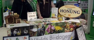 "Alla kan hjälpa de viktiga bina"