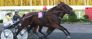 Rykande finish avgjorde Björnkampen