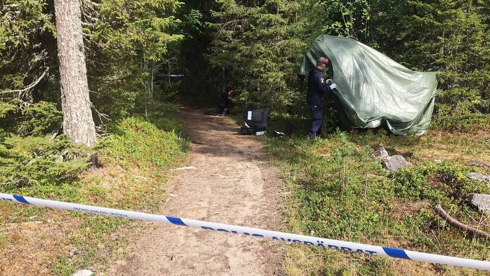Polisen har hört ett stort antal vittnen samt att polisteknikerna har letat spår på brottsplatsen. Ännu har ingen misstänkt gripits. (Arkivbild)