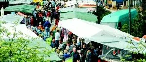 25-årsjubileum för Finsponga marken