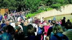 Trångt, trångt. Bilden togs i helgen när 8 000 Kommunalare med familjer invaderade djurparken.
Foto: Robert Svensson (011-200 463)
robert.svensson@folkbladet.se