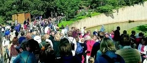 Augusti rekordmånad för djurparken