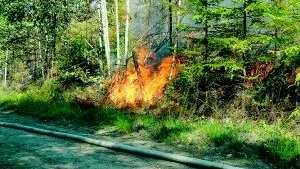 Grusvägens placering hindrade elden från att sprida sig ytterligare.