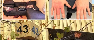 Bråk mellan åldrig pappa och son slutade i tingsrätten • Pappan dog innan rättegången • Sonen riskerar långt fängelsestraff