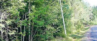 Två års telefonväntan