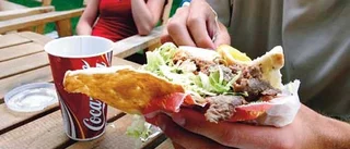 Salmonellakebab