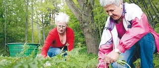 Ideellt arbete vid Lillån