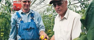 Nybygge och nysådd i handelsträdgård