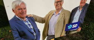SD har utestängt Lars Elmendal
