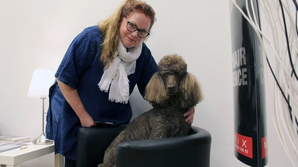 Välkammad. När matte är frisör, är det klart att hunden har välkammade öron! Marie-Louise Jonander med sin ögonsten, storpudeln Bonnie.