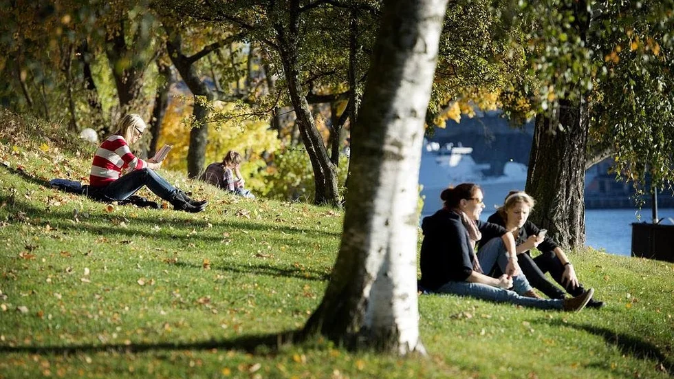 Septembersol. Blir det en hel del av den här helgen. Men glöm inte att ta med paraply.