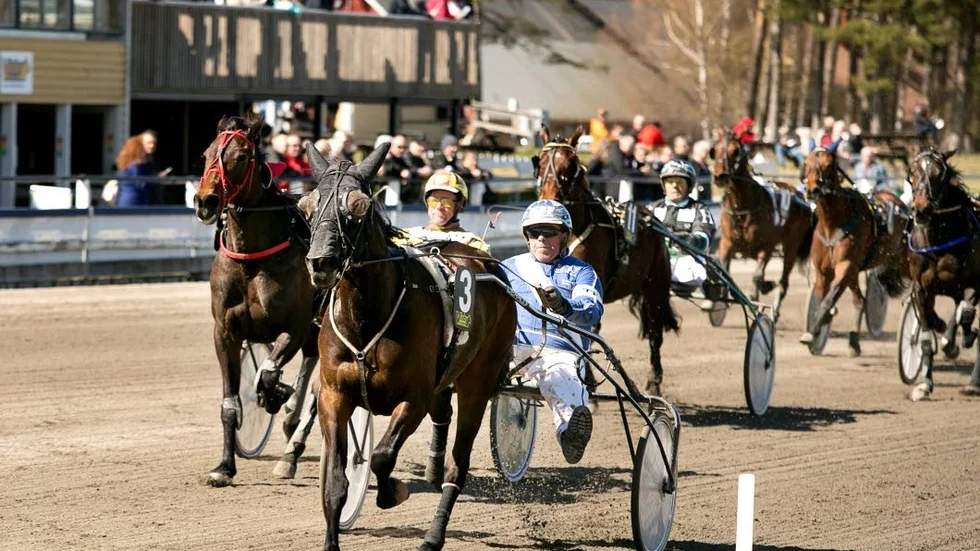 Full pott på travet gav vinstregn över Motala.