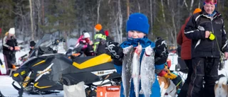 Olle, 6, fick tre stora regnbågar på pimpelpremiären – knepet var ett kräftdjur på kroken: "Jag använder räka"